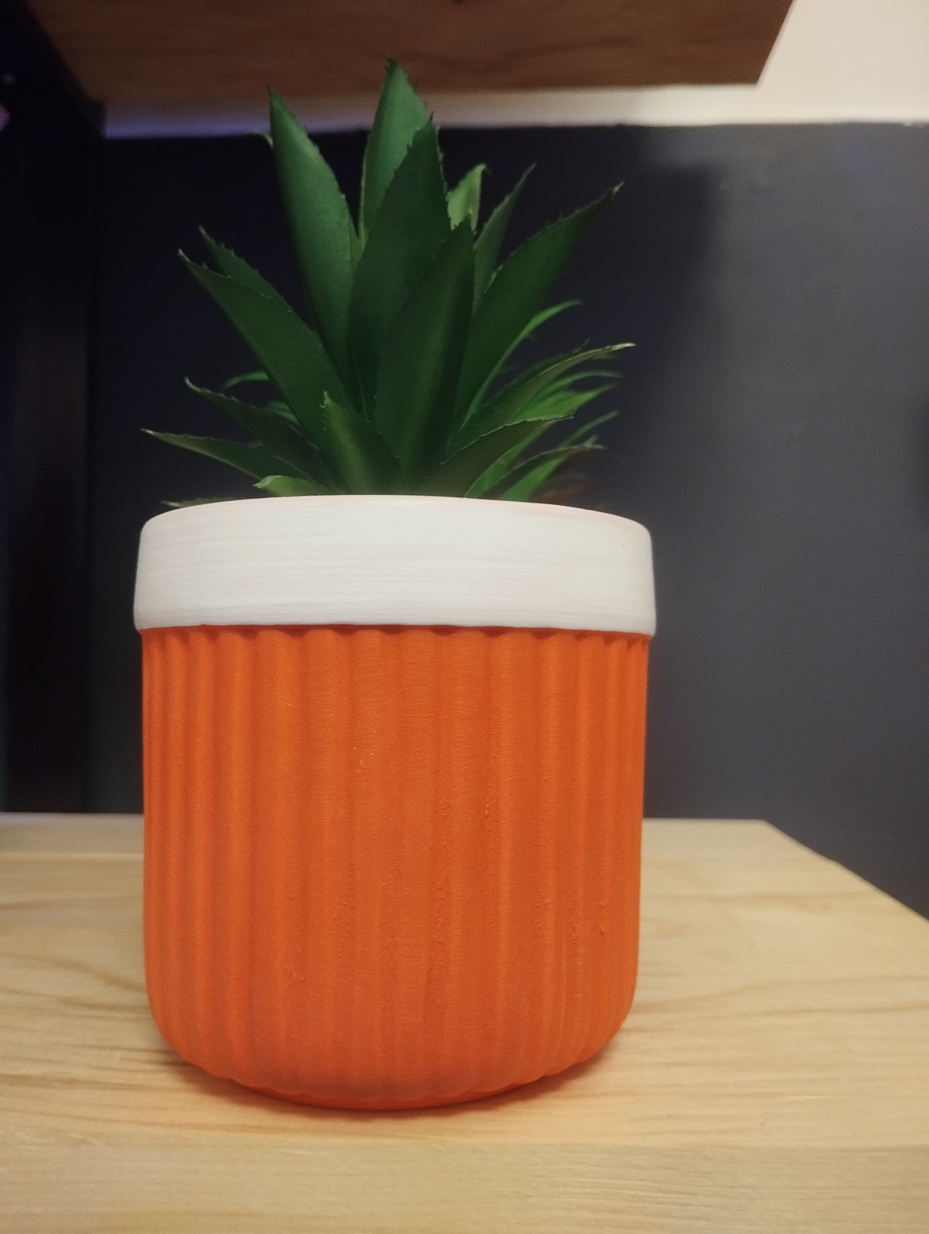 Mini Piante Color Vibes – Un Tocco di Natura e Allegria in Ogni Spazio! 🌈🌿